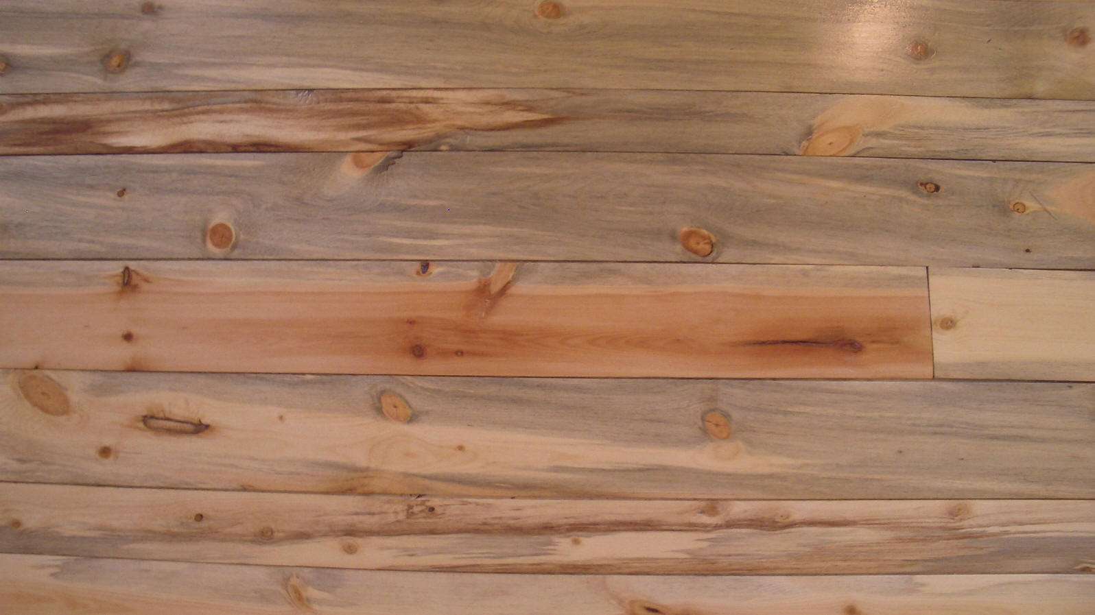 Blue Pine